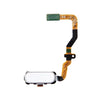 Home Button Flex Cable For Products Samsung S7 G930 (White)